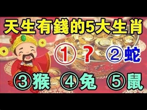 座西北朝東南生肖|十二生肖宅運大公開